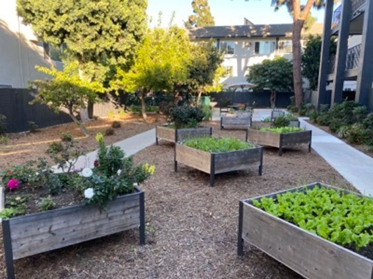 Miracle Terrace - Photo 3 of 14