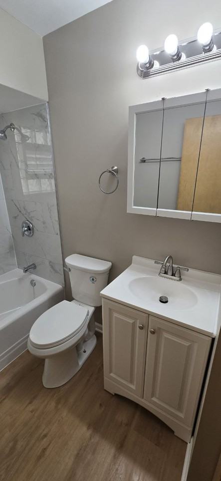 9713 S Pulaski Rd #2A - Photo 5 of 11