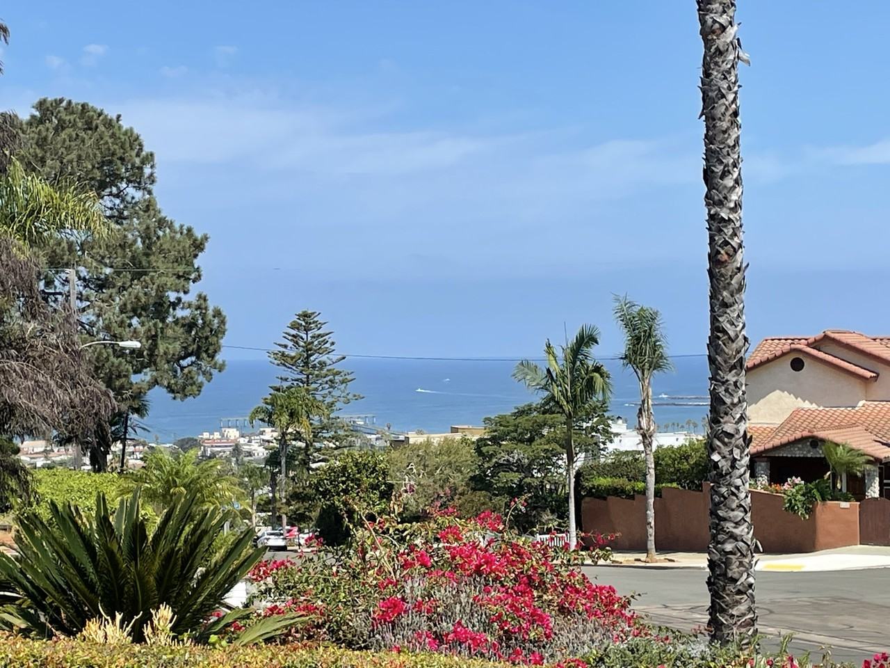 4461 Santa Cruz Ave #1 - Photo 2 of 9