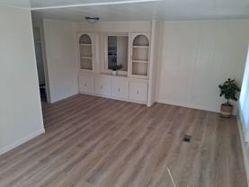 Thunderbird - Photo 1 of 1