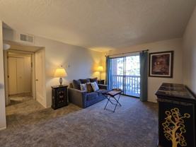 941 Calle Mejia - Photo 1 of 1