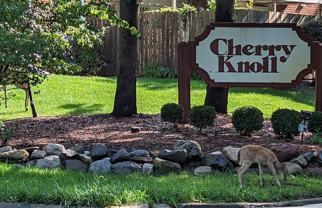 719 Whitcomb St #D - Photo 1 of 1