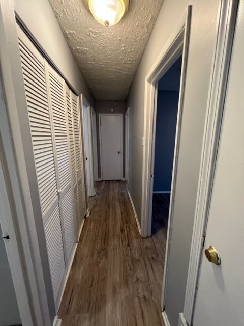 2527 Judson St - Photo 5 of 9