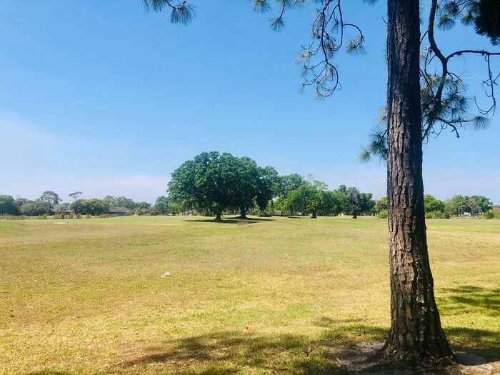 2642 Albion Ave - Photo 7 of 50