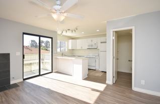 Clementine 609 - Photo 1 of 1