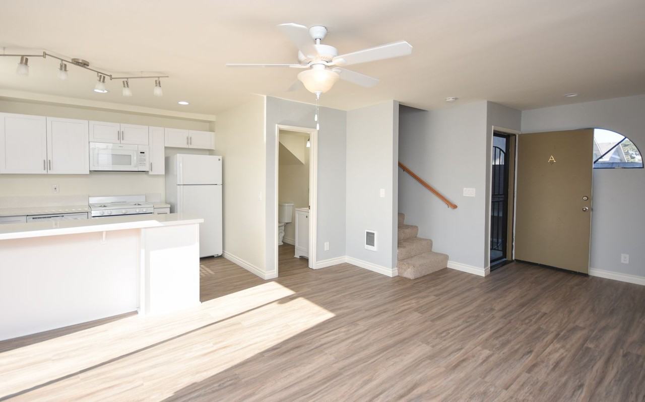 Clementine 609 - Photo 5 of 37