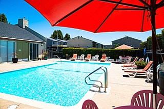 The Palms - Photo 2 of 39