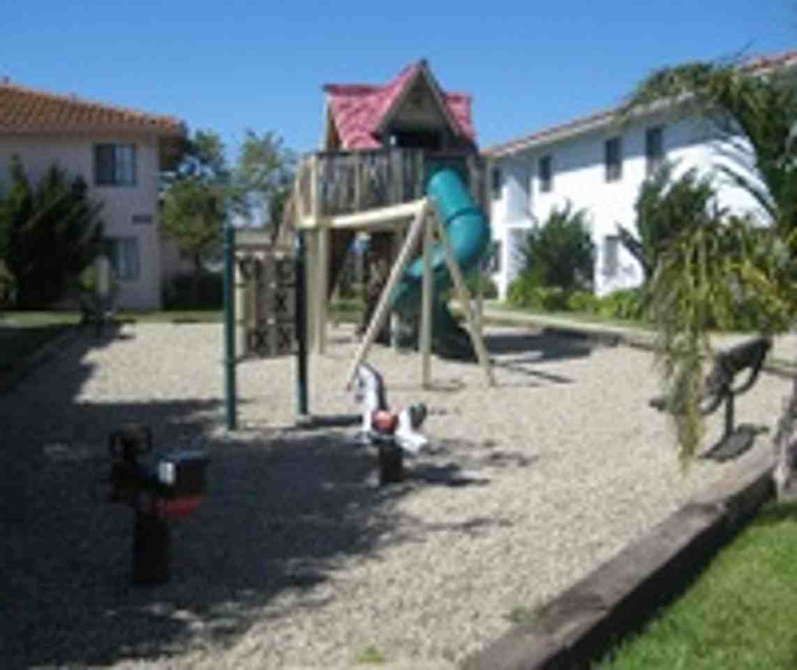 The Palms - Photo 3 of 39