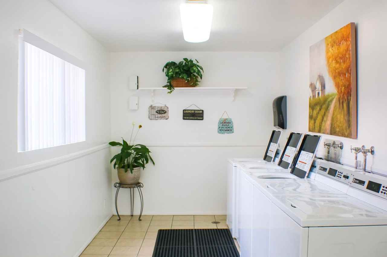 The Palms - Photo 5 of 39