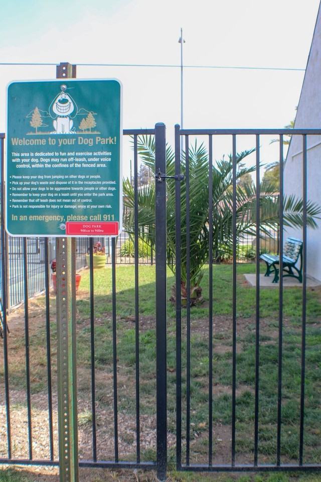 The Palms - Photo 7 of 39