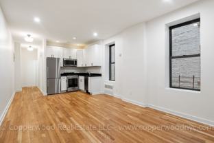 53-55 East 95th St - Photo 1 of 1