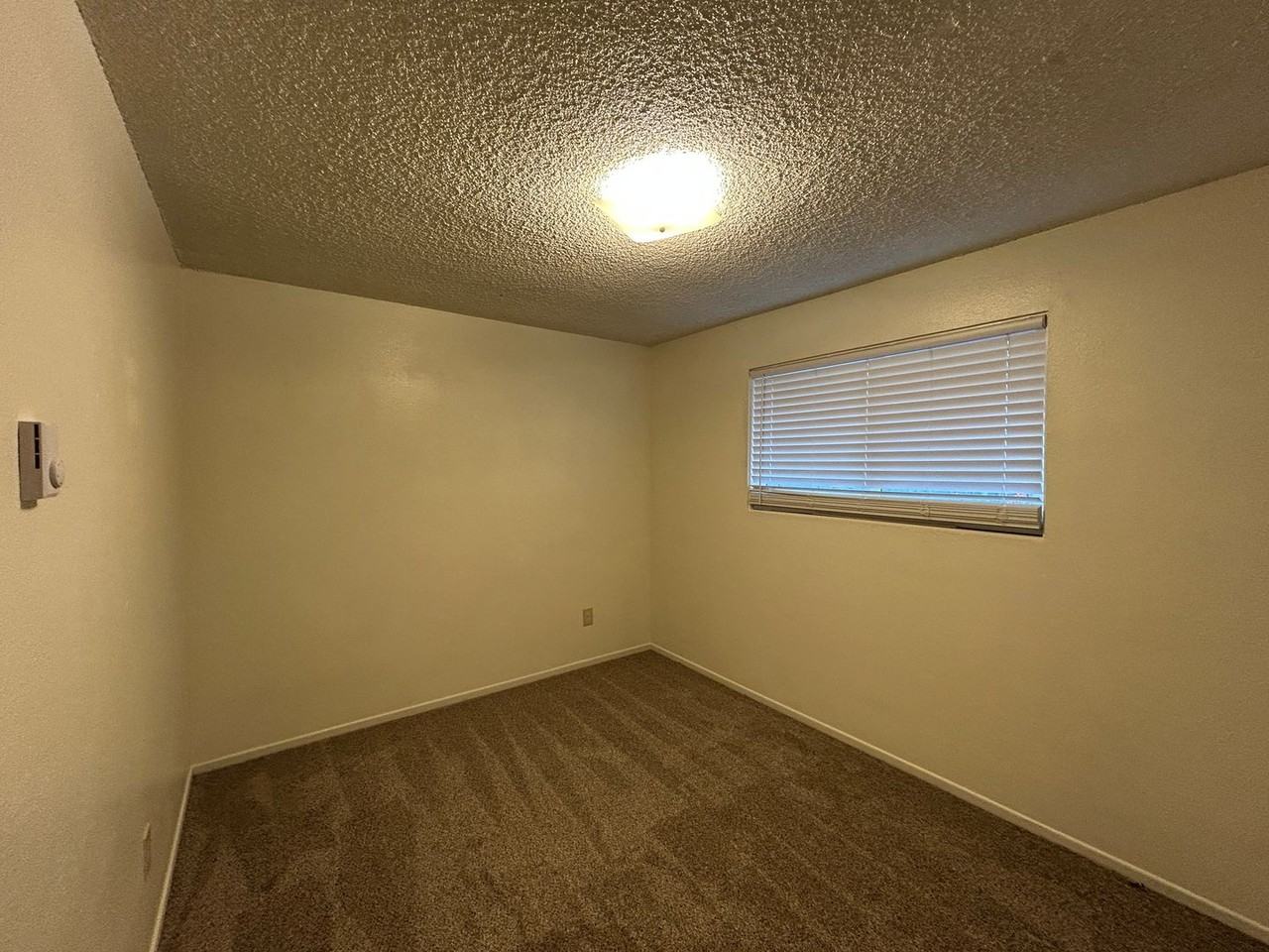 239 18th Ave - Photo 7 of 13