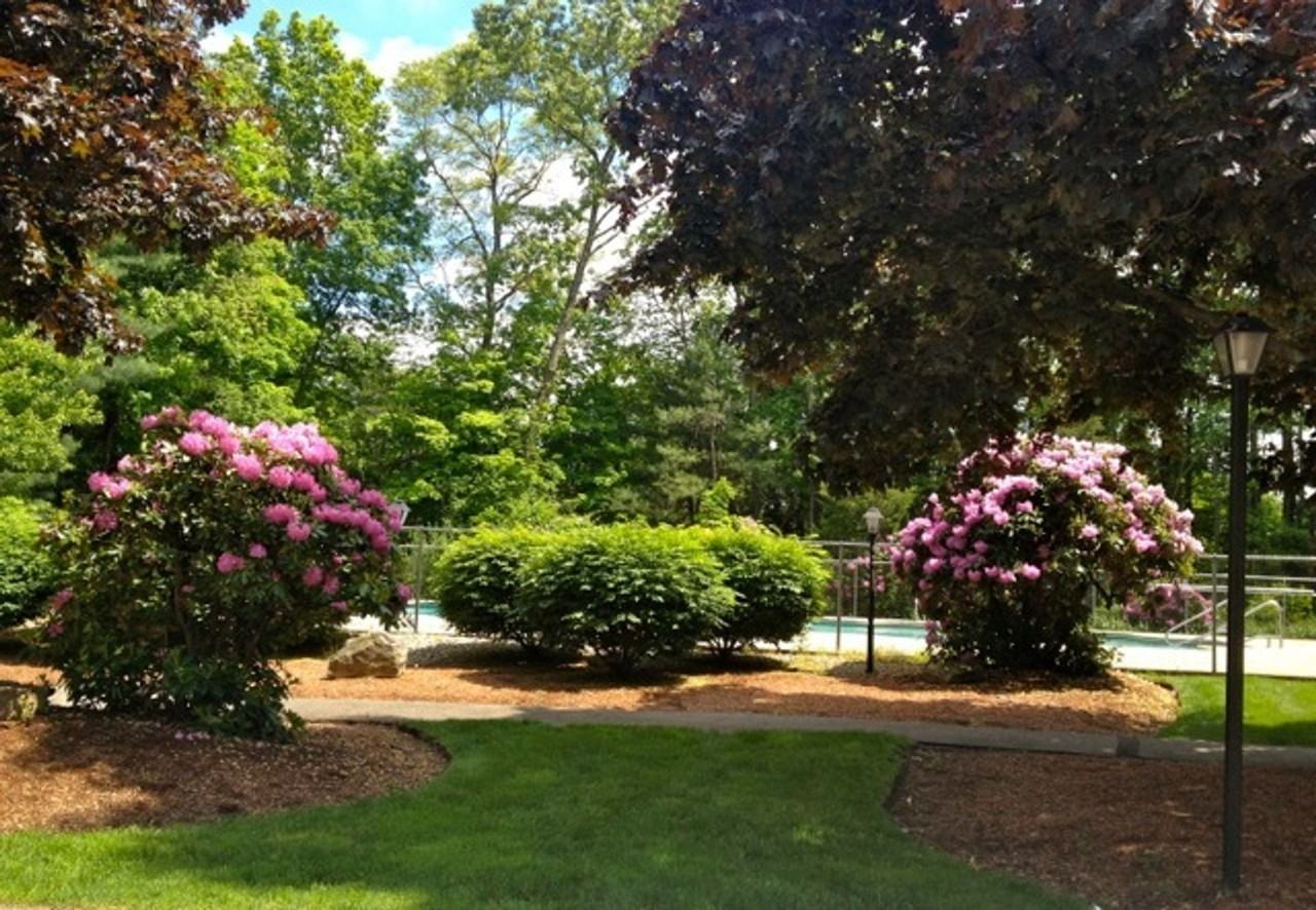 Putnam Village - Photo 4 of 10