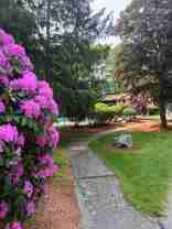 Putnam Village: 25P - Photo 1 of 1