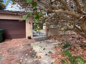 1128 Pinetree Dr - Photo 1 of 1