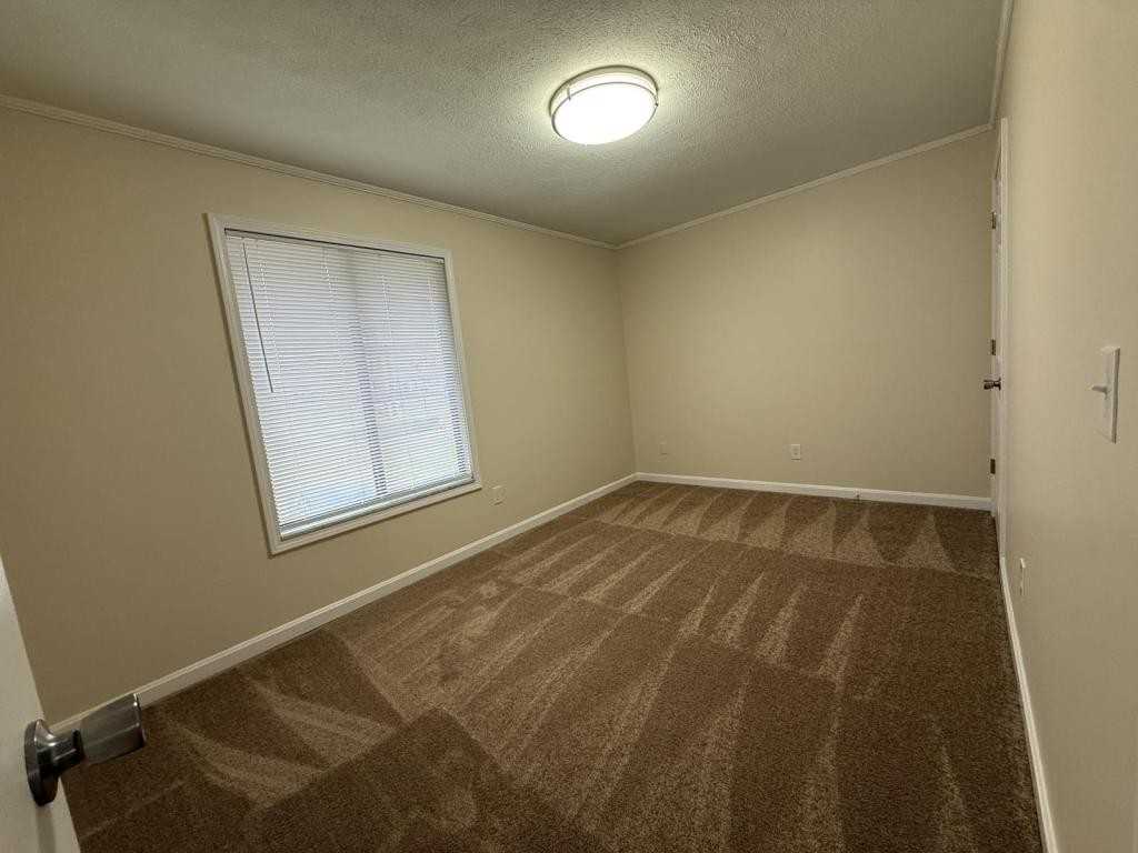 113 Virgil Dr - Photo 6 of 8