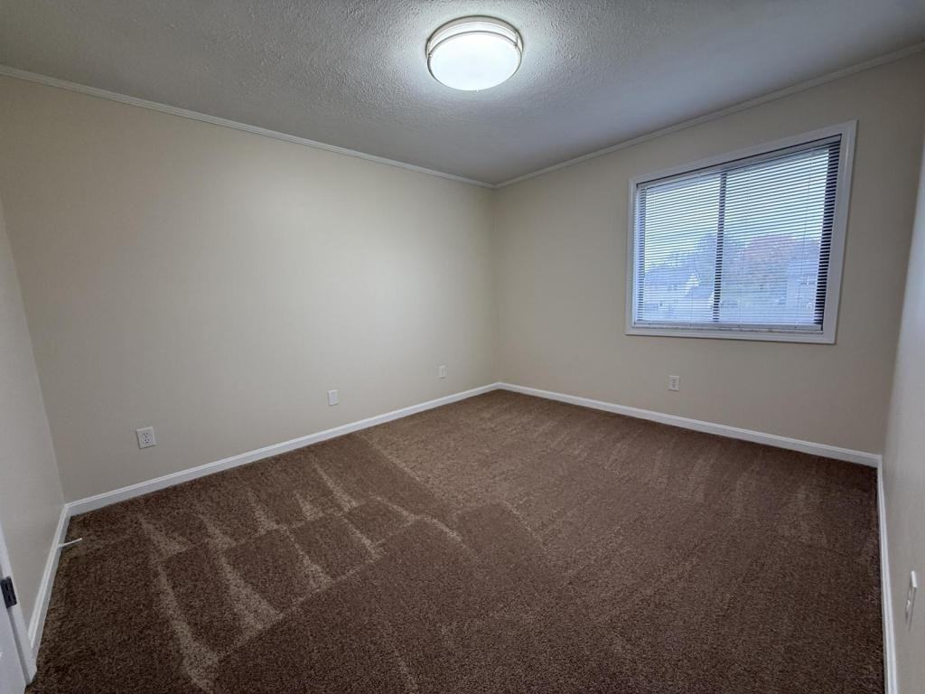 113 Virgil Dr - Photo 7 of 8