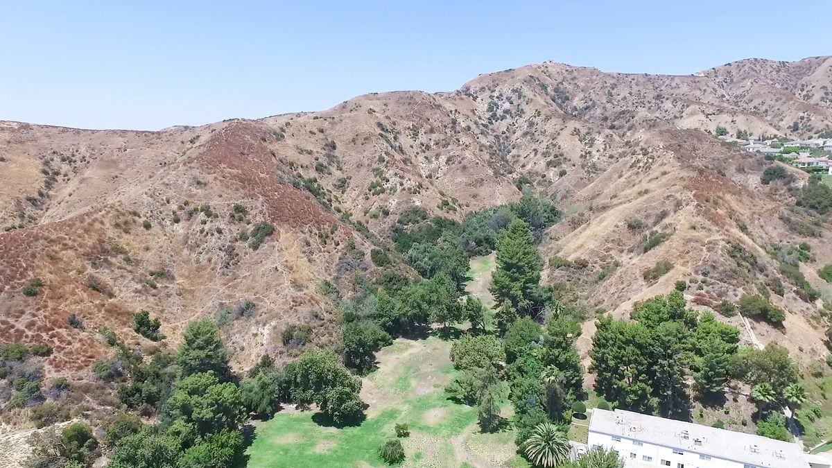 7727 Vía Capri - Photo 4 of 31