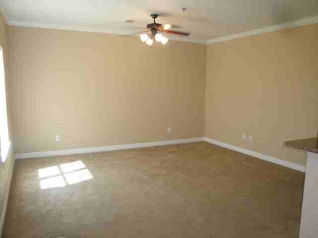 Ivy Ln - Photo 3 of 6