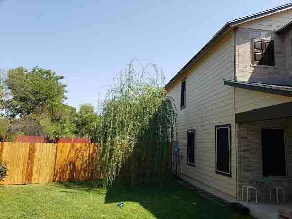54 Basin Elm - Photo 2 of 18