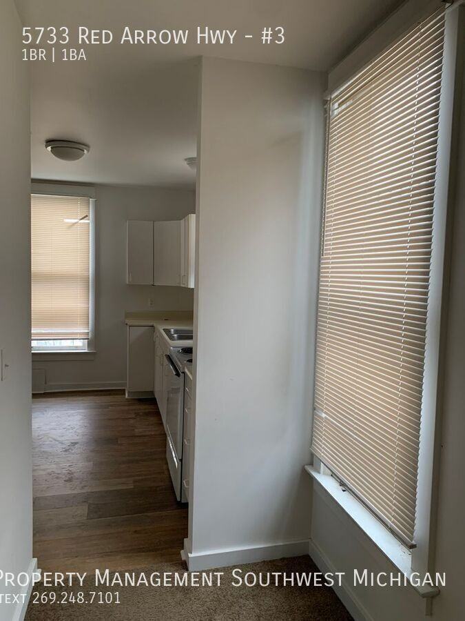 5733 Red Arrow Hwy #3 - Photo 4 of 11