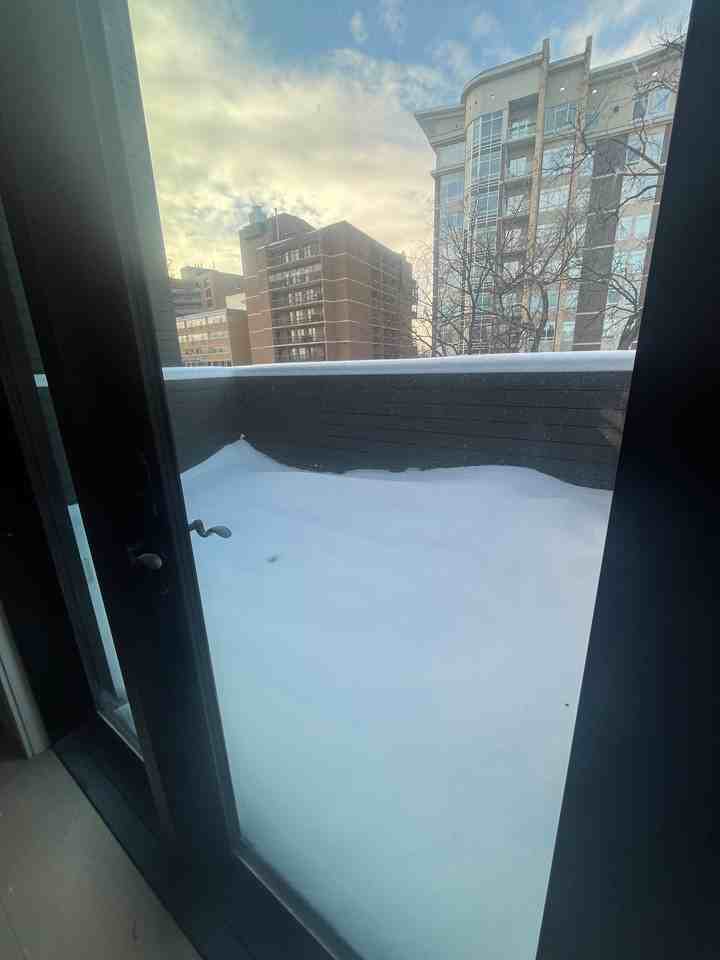 238 5-238 Wellington Crescent #5 - Photo 4 of 15