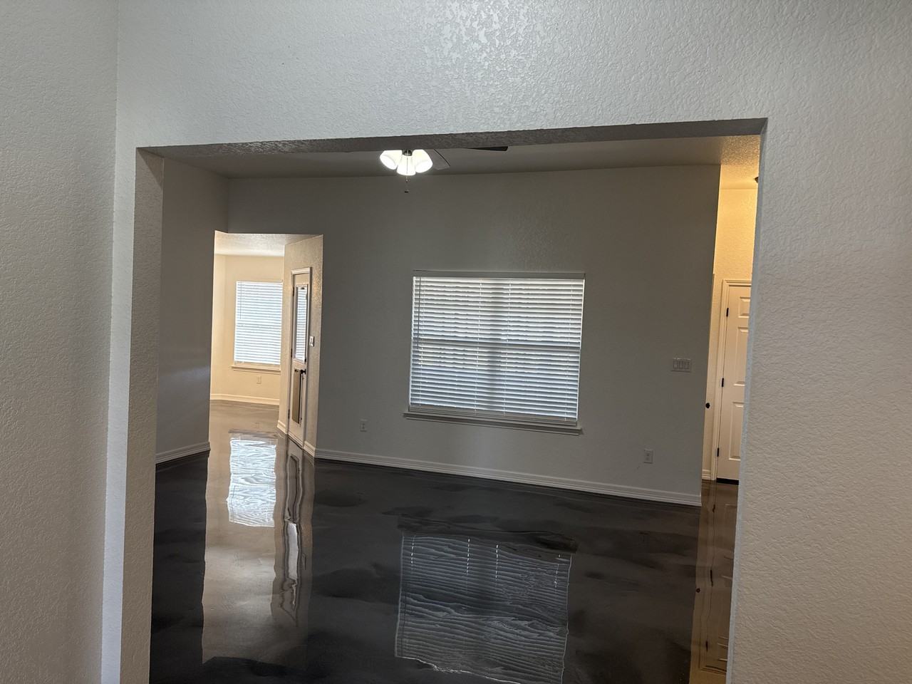 101 King Arthur Ct #NA - Photo 3 of 5