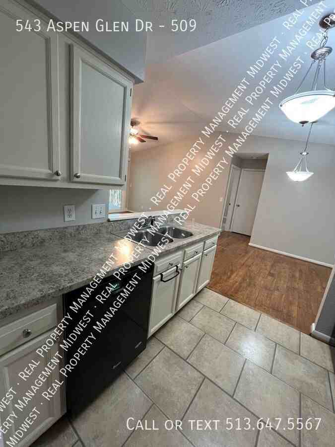 543 Aspen Glen Dr #509 - Photo 4 of 18
