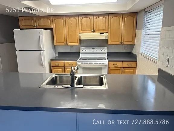 5253 Penguin Dr - Photo 4 of 19