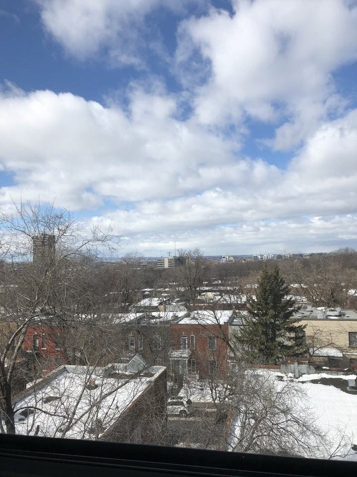 5245 Ch De La Côte-Saint-Luc - Photo 7 of 7