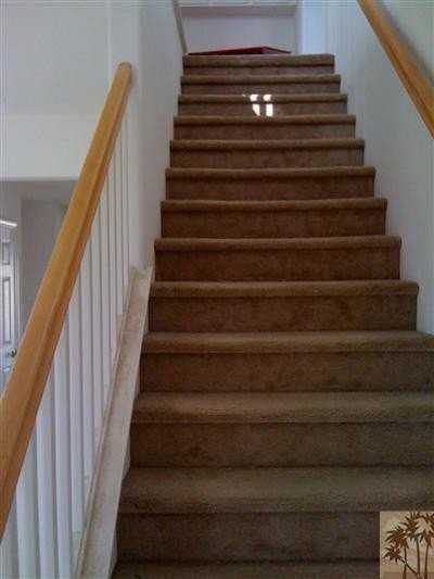 84560 Calle Gregorio - Photo 6 of 6