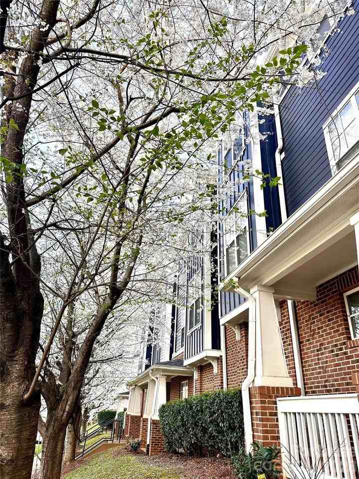 1600 Walnut View Dr - Photo 3 of 10