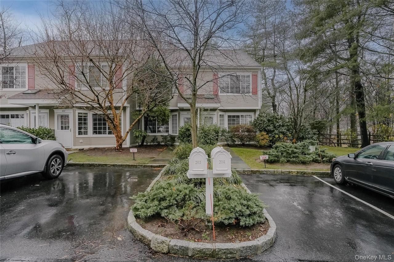 203 Park Ridge Ln - Photo 2 of 30