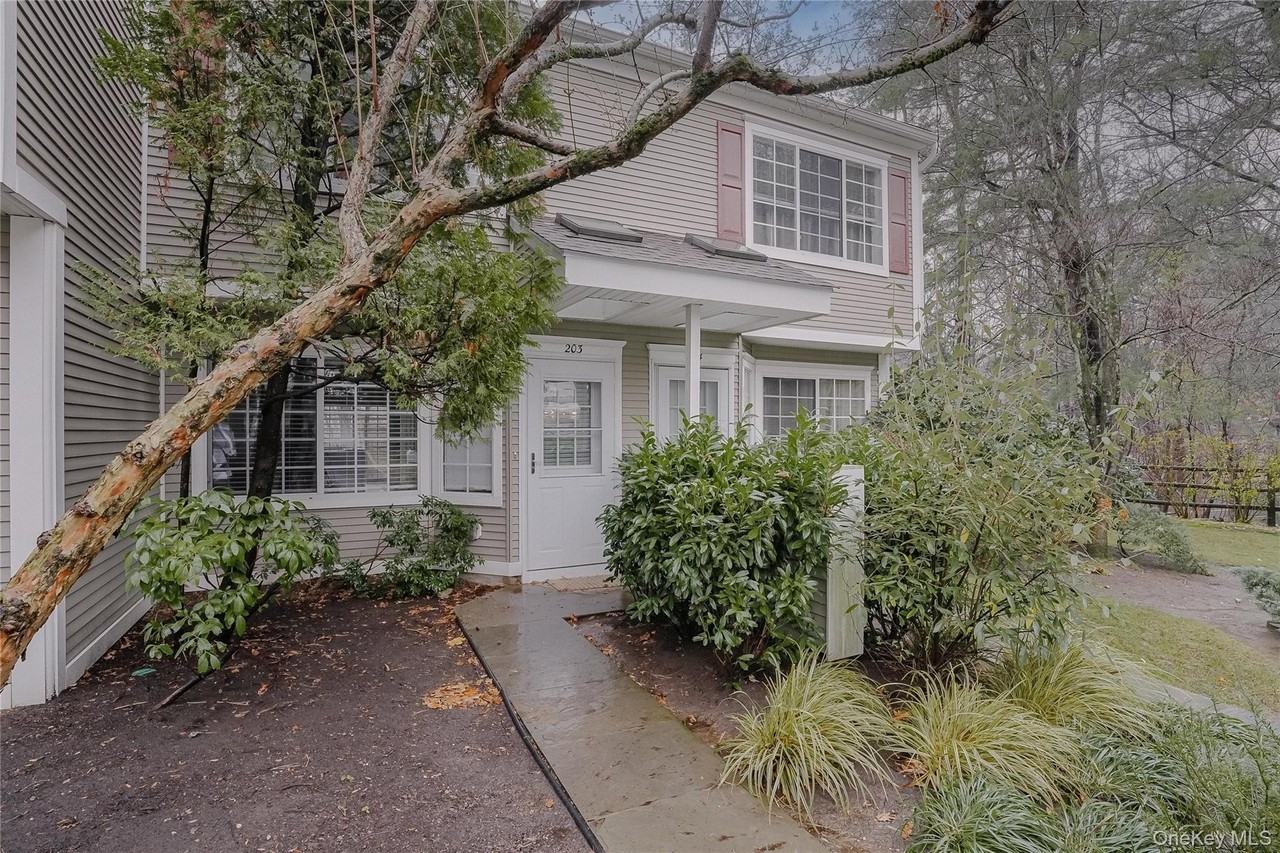 203 Park Ridge Ln - Photo 3 of 30