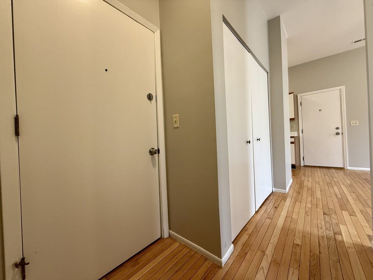 556 W 37th St Apt 3f - Photo 3 of 12