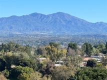 24055 W Paseo Del Largo #960 - Photo 1 of 1