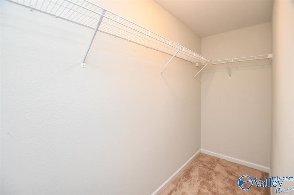 226 Harold Murphy Dr - Photo 6 of 13