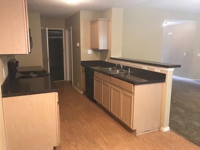 220 Pinecrest - Photo 5 of 10