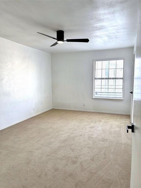 222 Shady Lane Dr - Photo 7 of 8