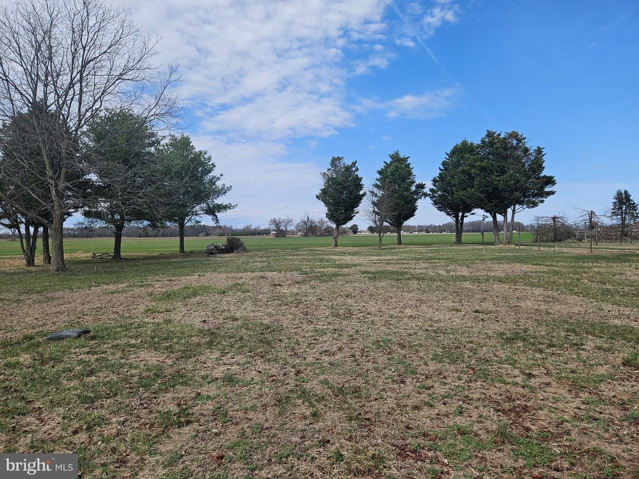 873 Skeeter Neck Rd - Photo 6 of 34