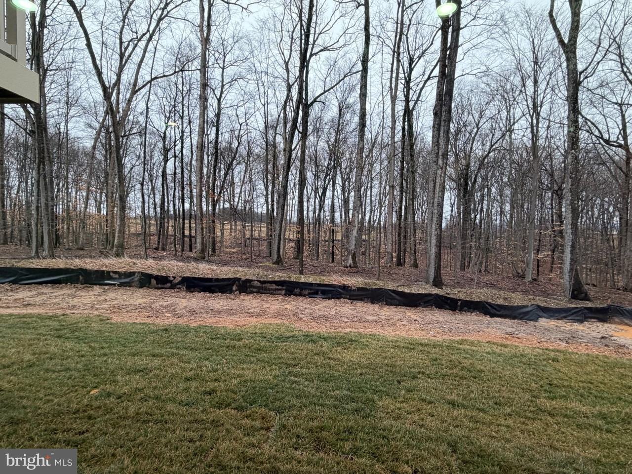 9331 Klamath Ct - Photo 6 of 28