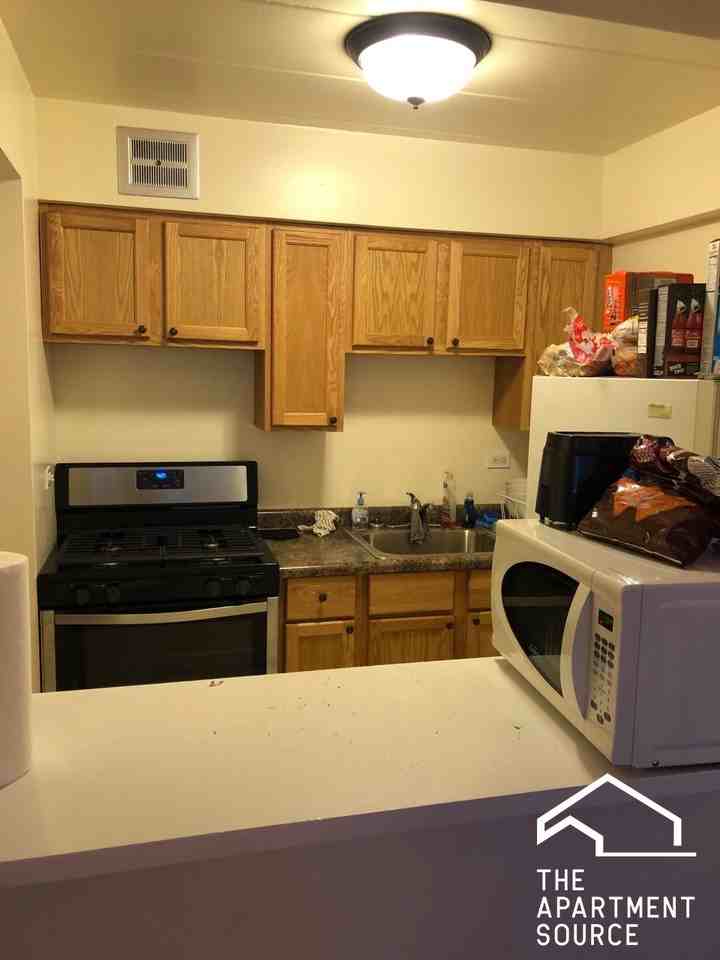 6821 N Sheridan Rd #205 - Photo 3 of 8