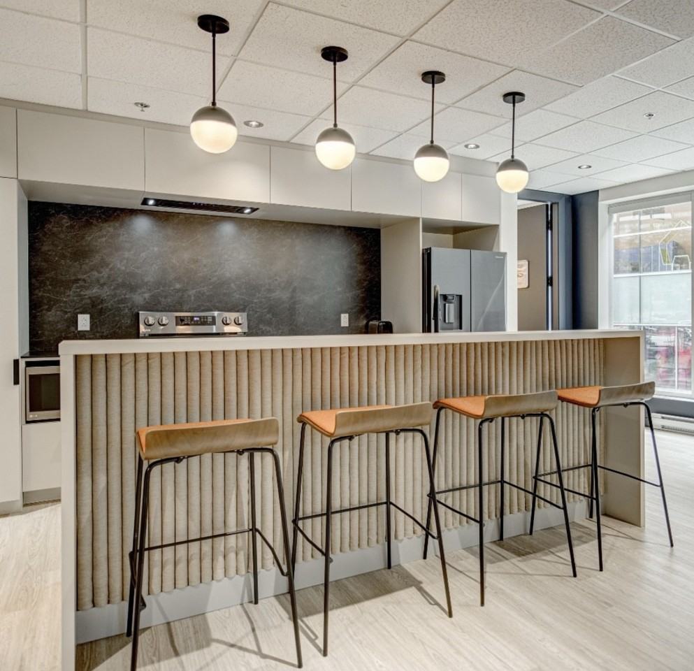 1009 Rue de Bleury #414 - Photo 7 of 20