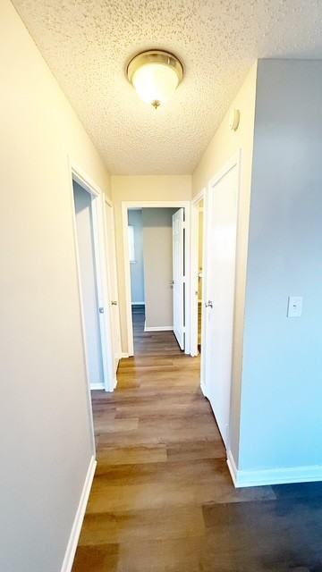 9148 Rochelle Dr - Photo 7 of 13