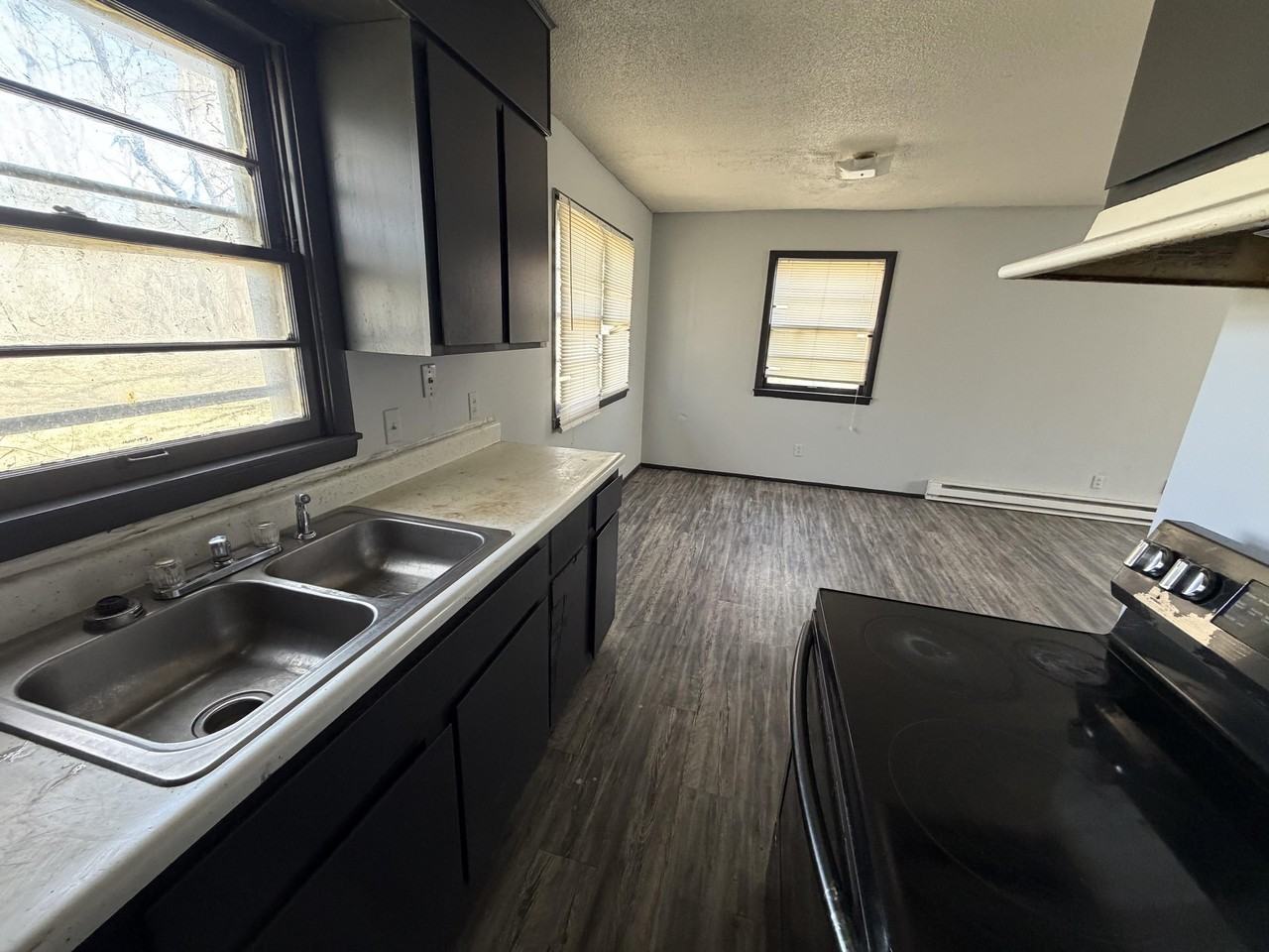 811 E Madison St - Photo 3 of 15