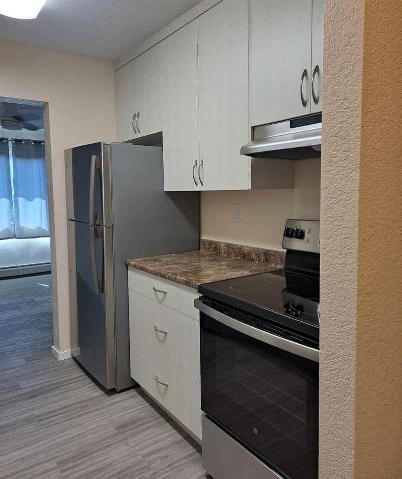 Sand Dollar Manor - Photo 4 of 21