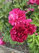 4100 Mullan Rd #801 - Photo 1 of 1