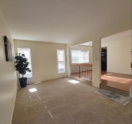 8417 Canning Ter - Photo 5 of 14