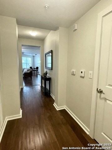 7342 Oak Manor Dr Apt 4201 - Photo 4 of 29