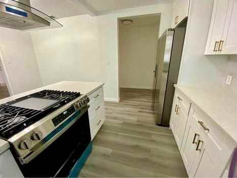 3647 Elliotta Dr - Photo 7 of 19